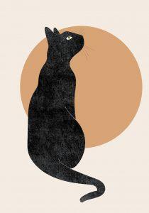 cat, circle, poster